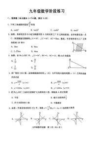 河北省邢台市襄都区第七中学2023-2024学年九年级上学期11月月考数学试题