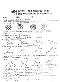 广东省汕头市金平区汕头市汕樟中学2023-2024学年八年级上学期11月期中数学试题