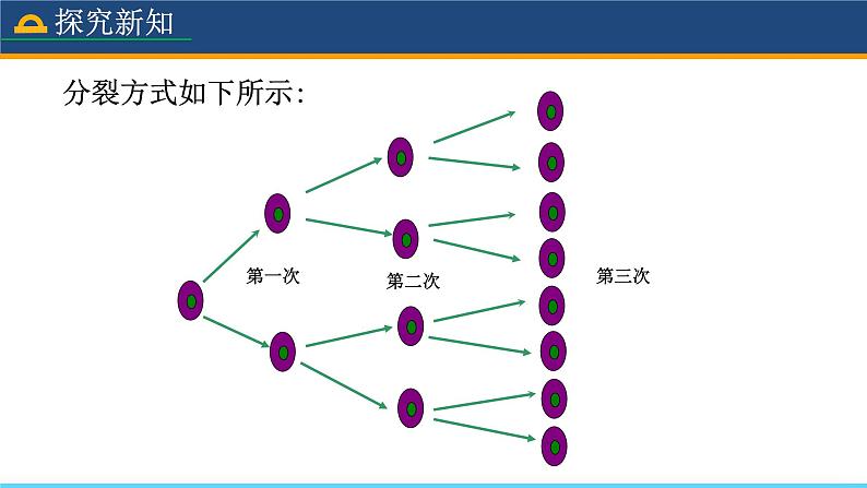 人教版数学7年级上册 1.5.1 乘方（第1课时） 课件+教案05