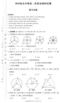 2023湖南师大附中集团九年级期中考试数学试卷及参考答案