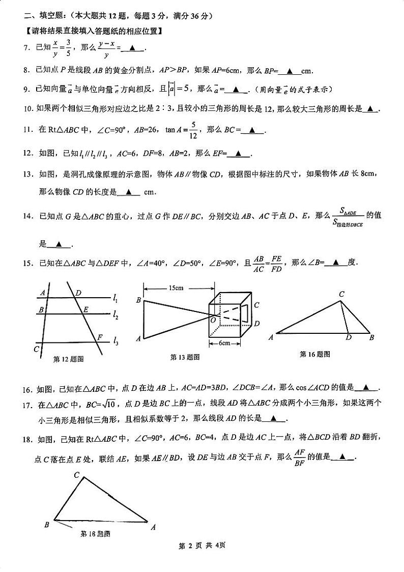 上海市杨浦区2023-—2024学年上学期九年级期中数学试卷02
