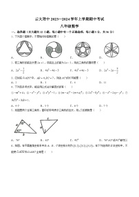 云南省昆明市云大附中一二一校区2023-2024 学年八年级上学期期中数学试题(无答案)