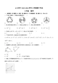 云南省昆明市五华区云南大学附属中学2023-2024学年八年级上学期期中数学试题(无答案)