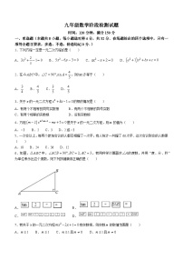 山东省潍坊市高密市立新中学2023-2024学年九年级上学期10月月考数学试题