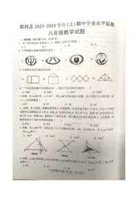 湖北省十堰市郧西县2023-2024学年八年级上学期11月期中数学试题