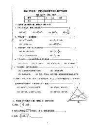 上海市普陀区2023—-2024学年八年级上学期期中考试数学试题