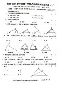 广东省 廉江市平坦中学 2023-2024学年度第一学期八年级数学第一次月考试题(无答案)