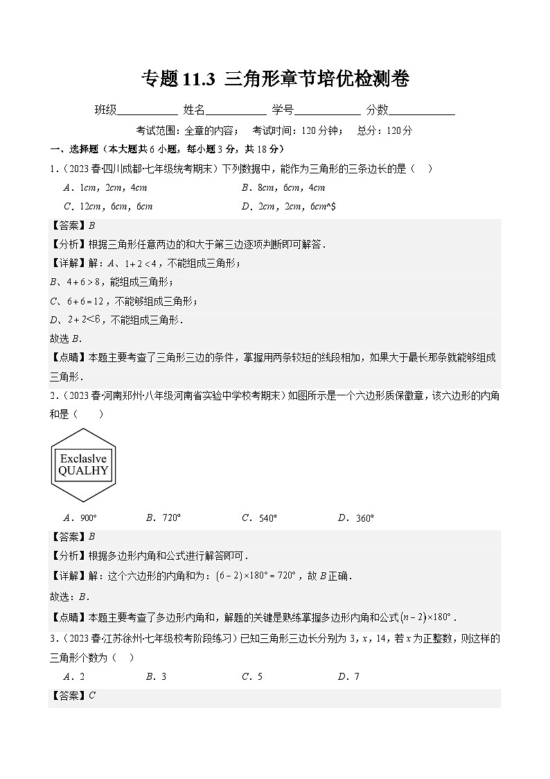 专题11.3 三角形章节培优检测卷-【学霸满分】2023-2024学年八年级数学上册重难点专题提优训练（人教版）01