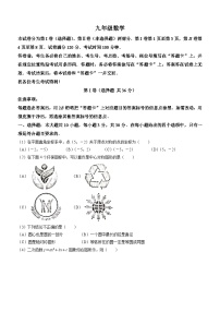 天津市河西区2023-2024学年九年级上学期期中数学试题