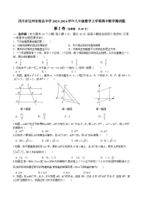 四川省达州市渠县中学2023-2024学年九年级上学期期中数学测试题