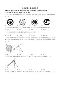 广东省中山市2023-2024学年八年级上学期期中数学试题及答案