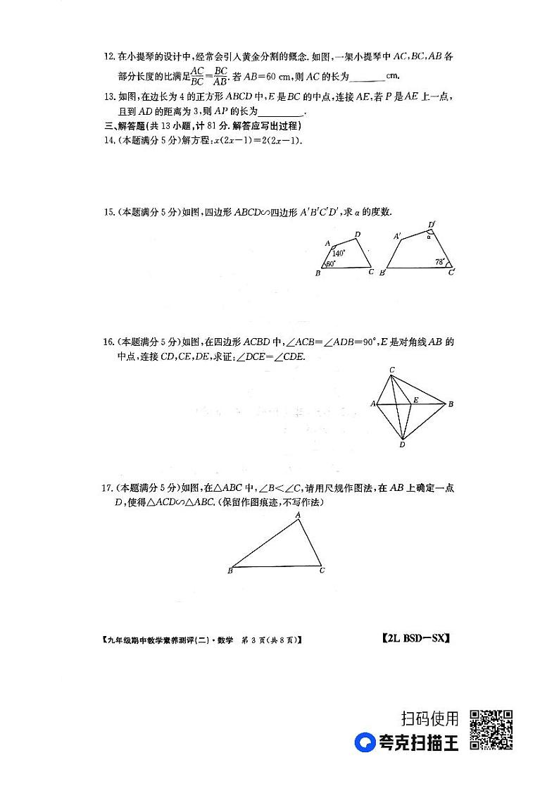 陕西省榆林市子洲县周家硷中学2023-2024学年八年级上学期11月期中数学试题第3页