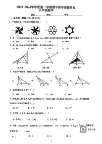 广东省惠州市第五中学2023—2024学年上学期八年级期中数学考试卷