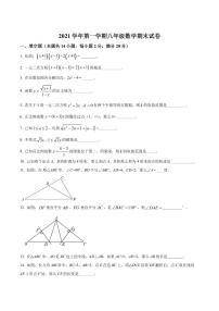 精品解析：上海市松江区2021-2022学年八年级上学期期末数学试题