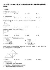 2023年湖北省襄阳市老河口市中考模拟数学试题和答案详解