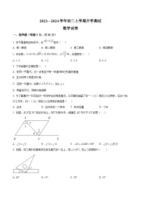 广东省中山市部分学校2023-2024学年八年级上学期开学考试数学试卷(含答案)