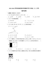 郑州外国语中学2023-2024学年八年级上学期开学考试数学试卷(含解析)