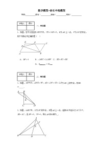 中考数学二轮复习数学模型-倍长中线模型含解析答案