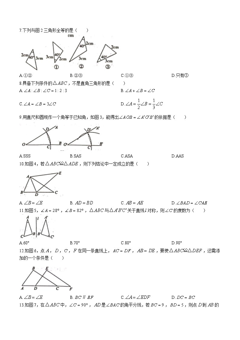 河北省保定市顺平县2023-2024学年八年级上学期期中数学试题02