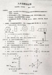 辽宁省沈阳市于洪区2023-—2024学年九年级上学期11月期中数学试题(3)