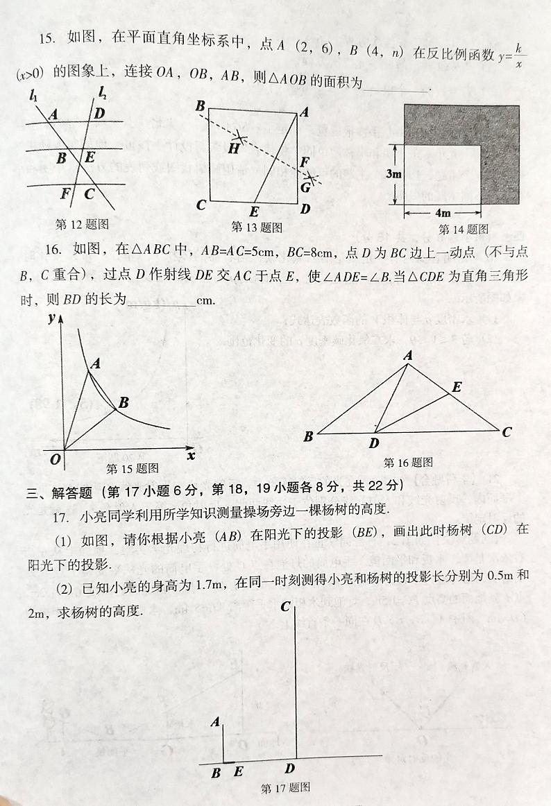 辽宁省沈阳市于洪区2023-—2024学年九年级上学期11月期中数学试题(3)03