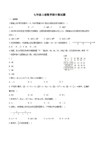 山东省邹城市第十一中学2023—2024学年上学期七年级数学期中测试题