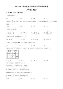 广东省深圳市宝安区外国语学校2022-2023学年八年级上学期期中考试数学试题（原卷及解析版）