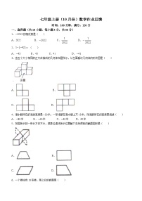 辽宁省沈阳市法库县东湖第二初级中学2023-2024学年七年级上学期10月月考数学试题