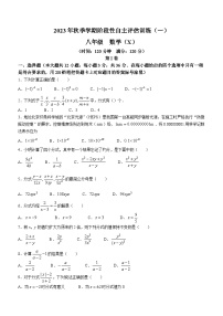 广西壮族自治区来宾市忻城县民族中学2023-2024学年八年级上学期10月月考数学试题