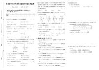 四川省广元市苍溪县石马初级中学2023-—2024学年九年级上学期期中考试数学试卷