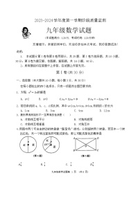 山东省青岛市城阳区2023-2024学年九年级上学期期中数学试题