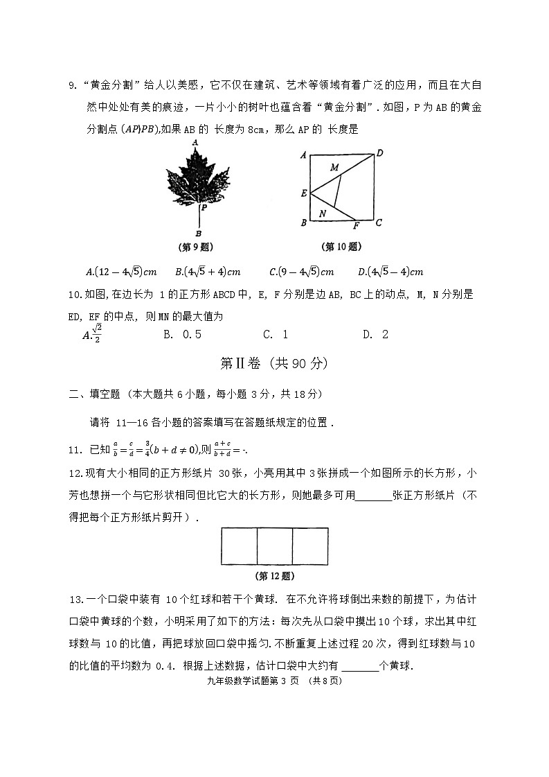 山东省青岛市城阳区2023-2024学年九年级上学期期中数学试题03