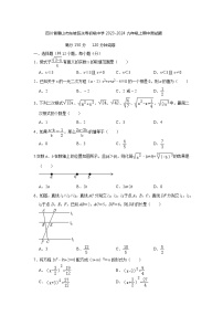 四川省眉山市东坡区永寿镇初级中学2023-2024学年九年级上学期期中数学测试题