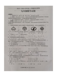 湖北省十堰市郧阳区2023-—2024学年九年级上学期期中考试数学试题