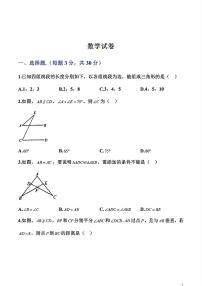 河南省 平顶山市新华区焦店镇第一中学2023-2024学年八年级上学期11月期中数学试题