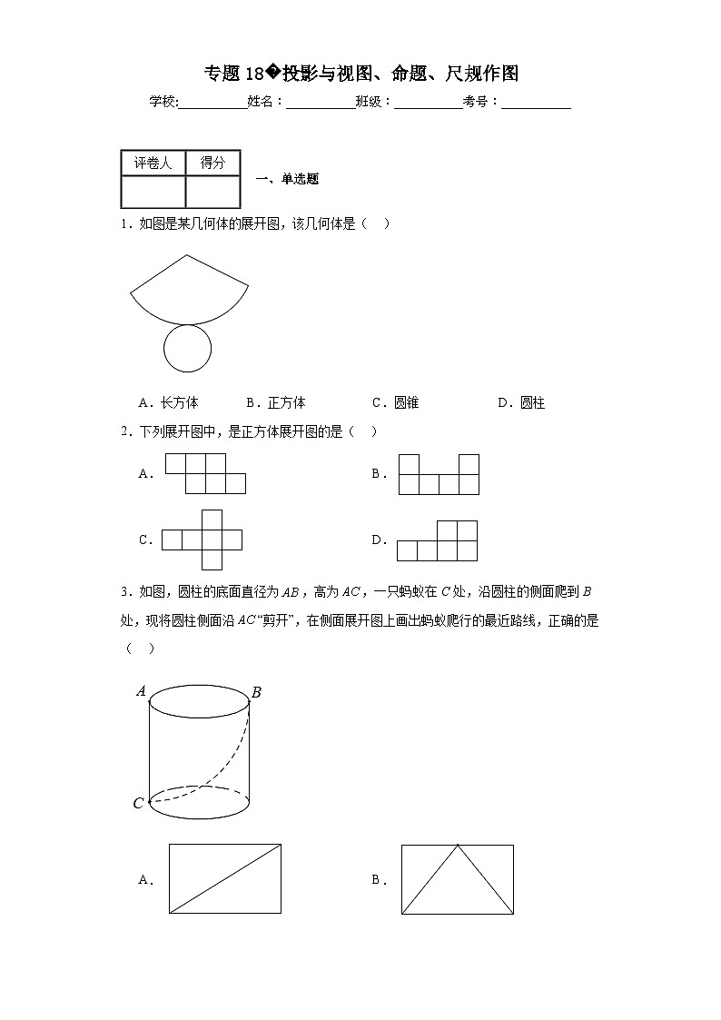中考数学二轮复习专题18投影与视图、命题、尺规作图含解析答案第1页