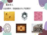 北師版數學七年級上冊 4.5多邊形和圓的初步認識課件