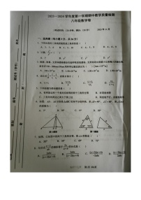 广西壮族自治区北海市合浦县2023-2024学年八年级上学期11月期中数学试题