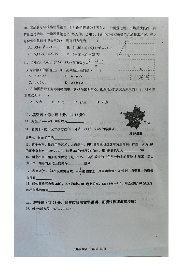 广西壮族自治区北海市合浦县2023-2024学年九年级上学期11月期中数学试题02