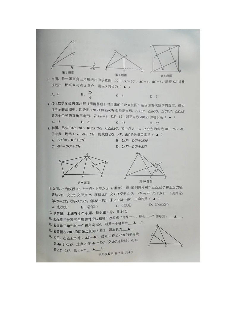 浙江省杭州市临平区2023-2024学年八年级上学期期中检测数学试题02