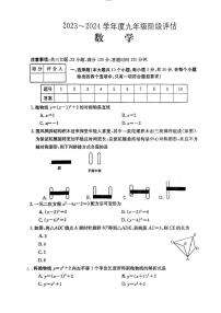 山西省吕梁市文水县2023-2024学年九年级上学期11月期中数学试题