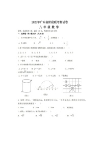 广东省云浮市郁南县桂圩镇初级中学等2023-2024学年上学期八年级数学阶段联考测试卷