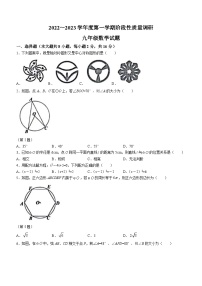 江苏省常州市武进区2022-2023学年九年级上学期期中数学试题(无答案)