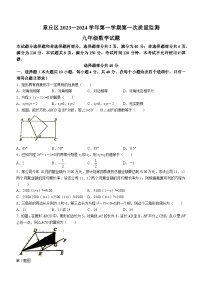 山东省济南市章丘区2023-2024学年九年级上学期10月月考数学试题(无答案)