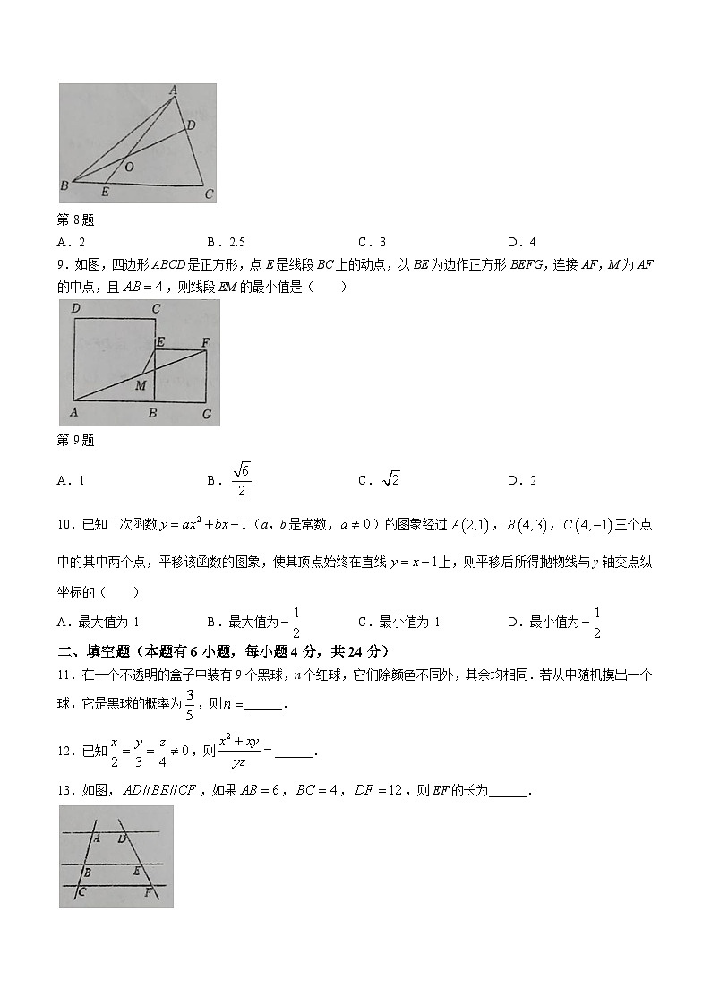 浙江省金华市义乌市2023-2024学年九年级上学期10月月考数学试题02