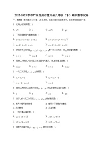 广西贺州市富川县2022-2023学年八年级下学期期中考试数学试卷(含答案)