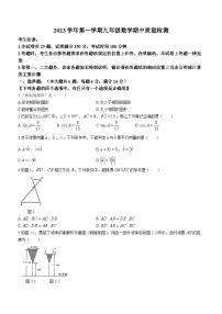 上海市浦东新区2023-2024学年九年级上学期期中模拟数学试题