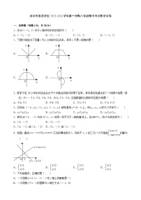 广东省深圳市外国语学校2023-2024学年八年级上学期期中考试数学试卷