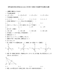 广东省深圳市实验学校光明部2023-2024学年八年级上学期期中考试数学试卷