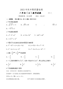 四川省眉山市仁寿县城区2023-2024学年八年级上学期期中考试数学试题